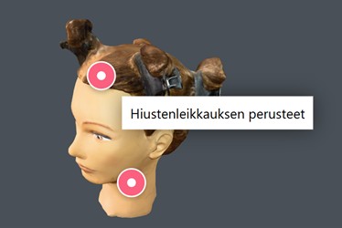 Kampausharjoituspää ja merkityt leikkausalueet, “Hiustenleikkauksen perusteet”.